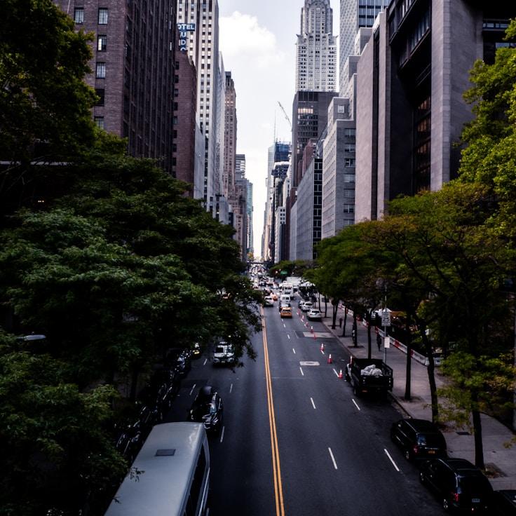 Sophie de Vries - Expat family life guide in Netherlands